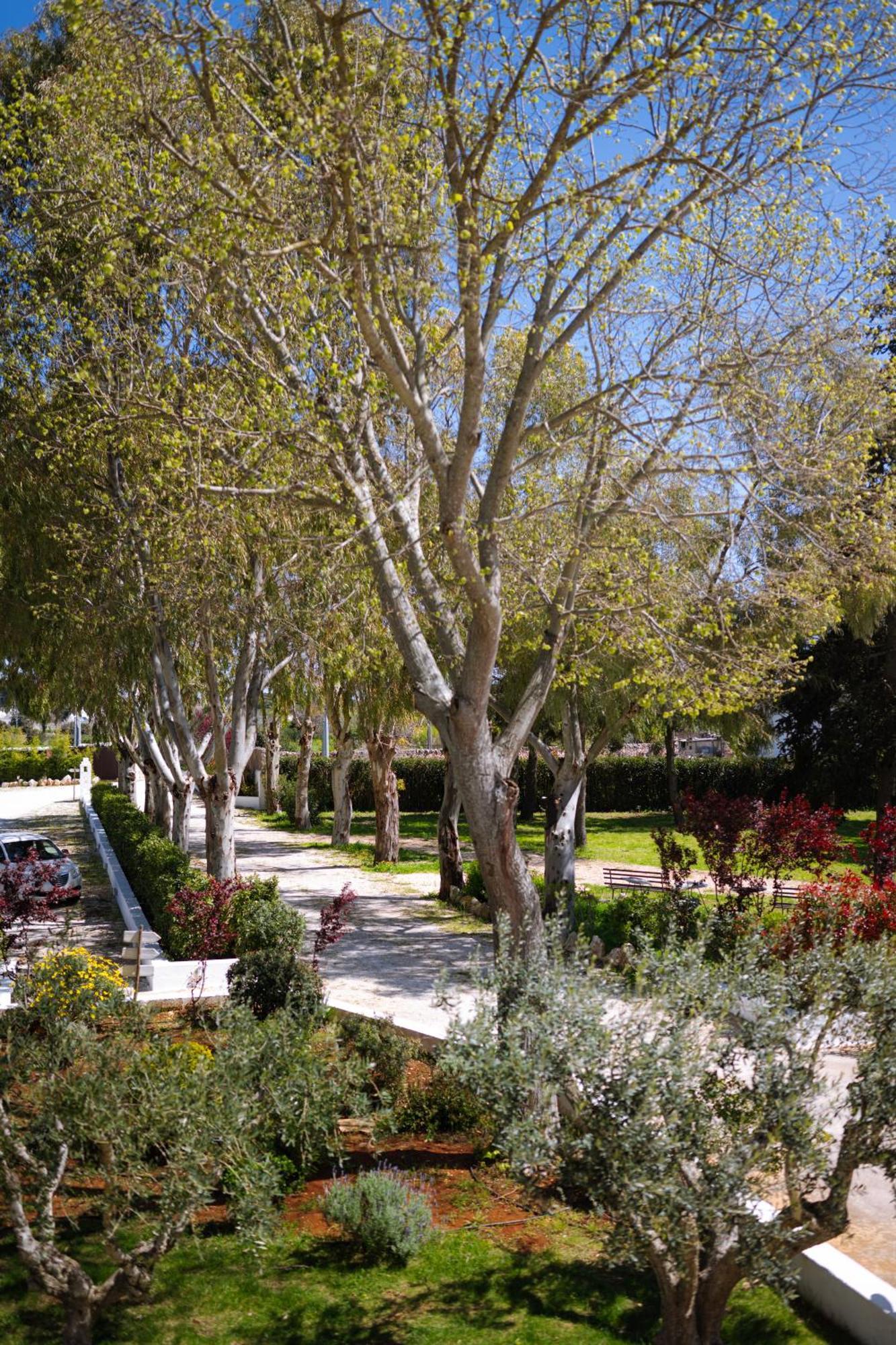 Masseria San Michele Мартина Франка Екстериор снимка