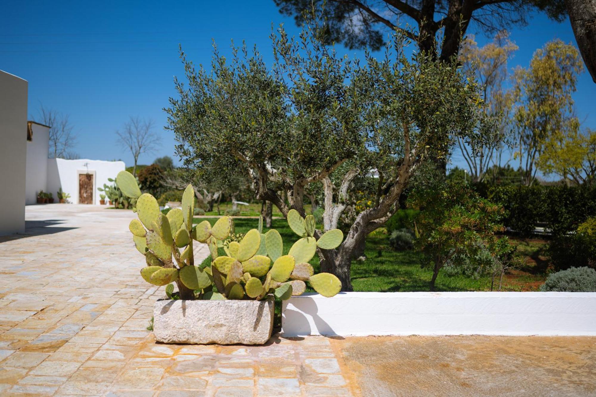 Masseria San Michele Мартина Франка Екстериор снимка