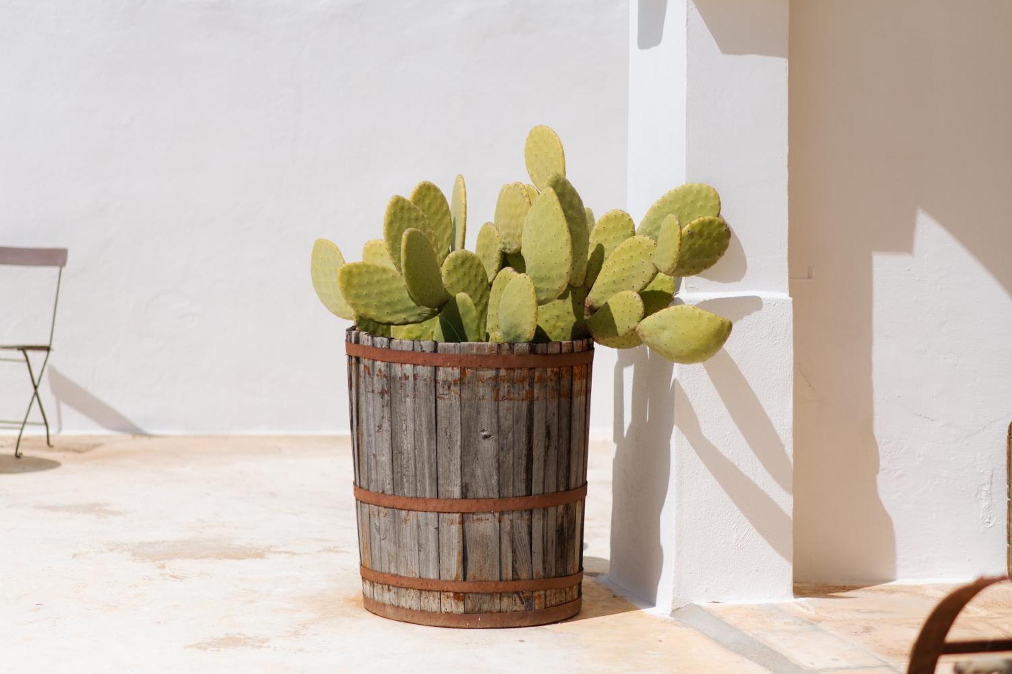 Masseria San Michele Мартина Франка Екстериор снимка